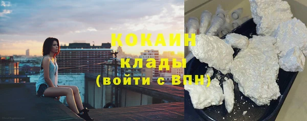 хмурый Арсеньев