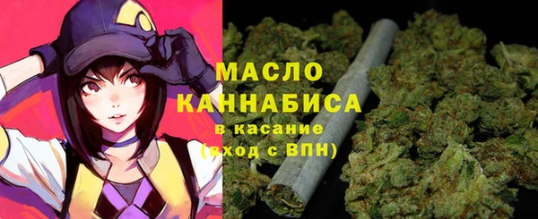 хмурый Арсеньев