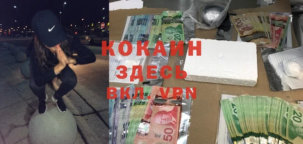 хмурый Арсеньев