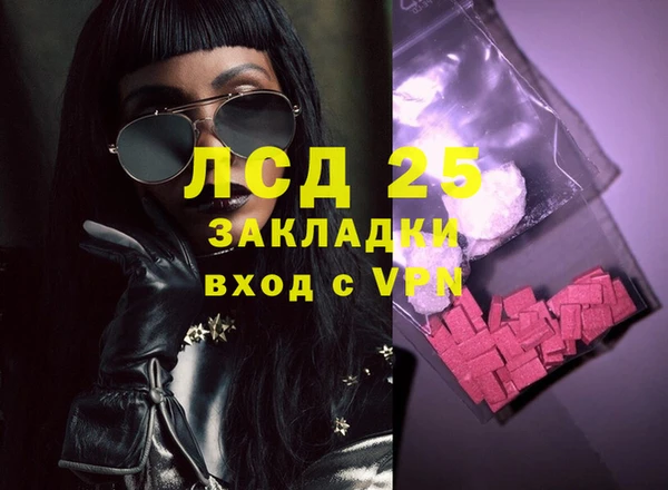 хмурый Арсеньев