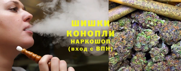 хмурый Арсеньев