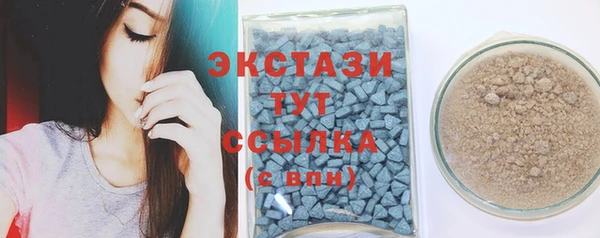 хмурый Арсеньев