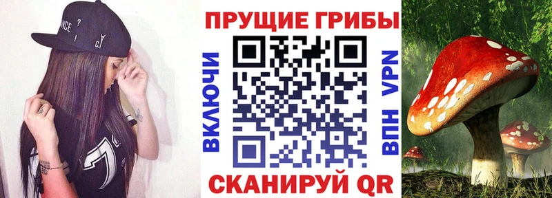 Псилоцибиновые грибы GOLDEN TEACHER  как найти наркотики  Лангепас 