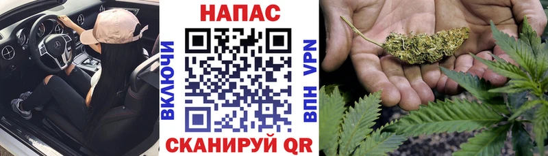 OMG ссылка  маркетплейс какой сайт  Каннабис планчик  Лангепас 